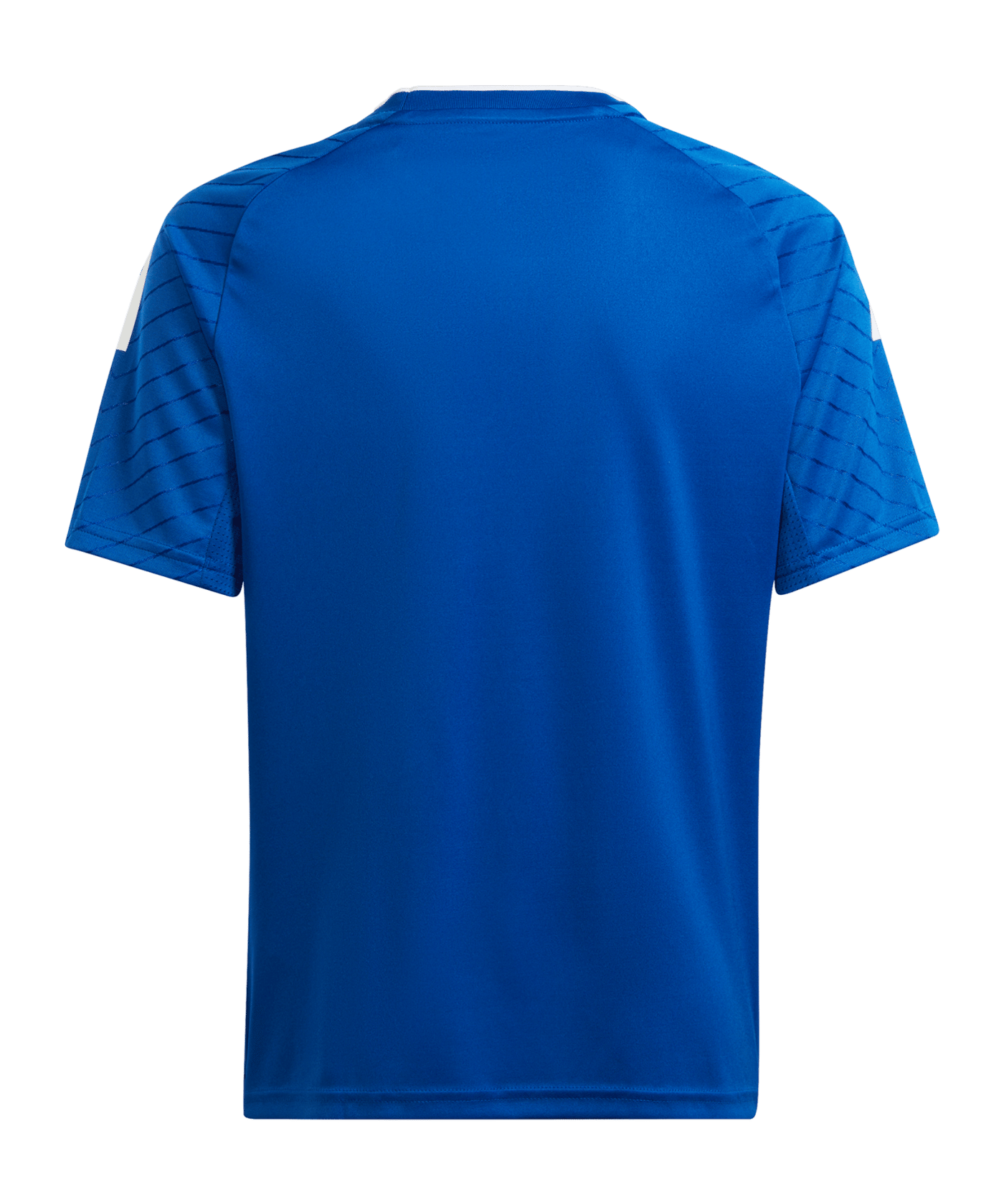 adidas Campeon 23 Trikot Blau - blau