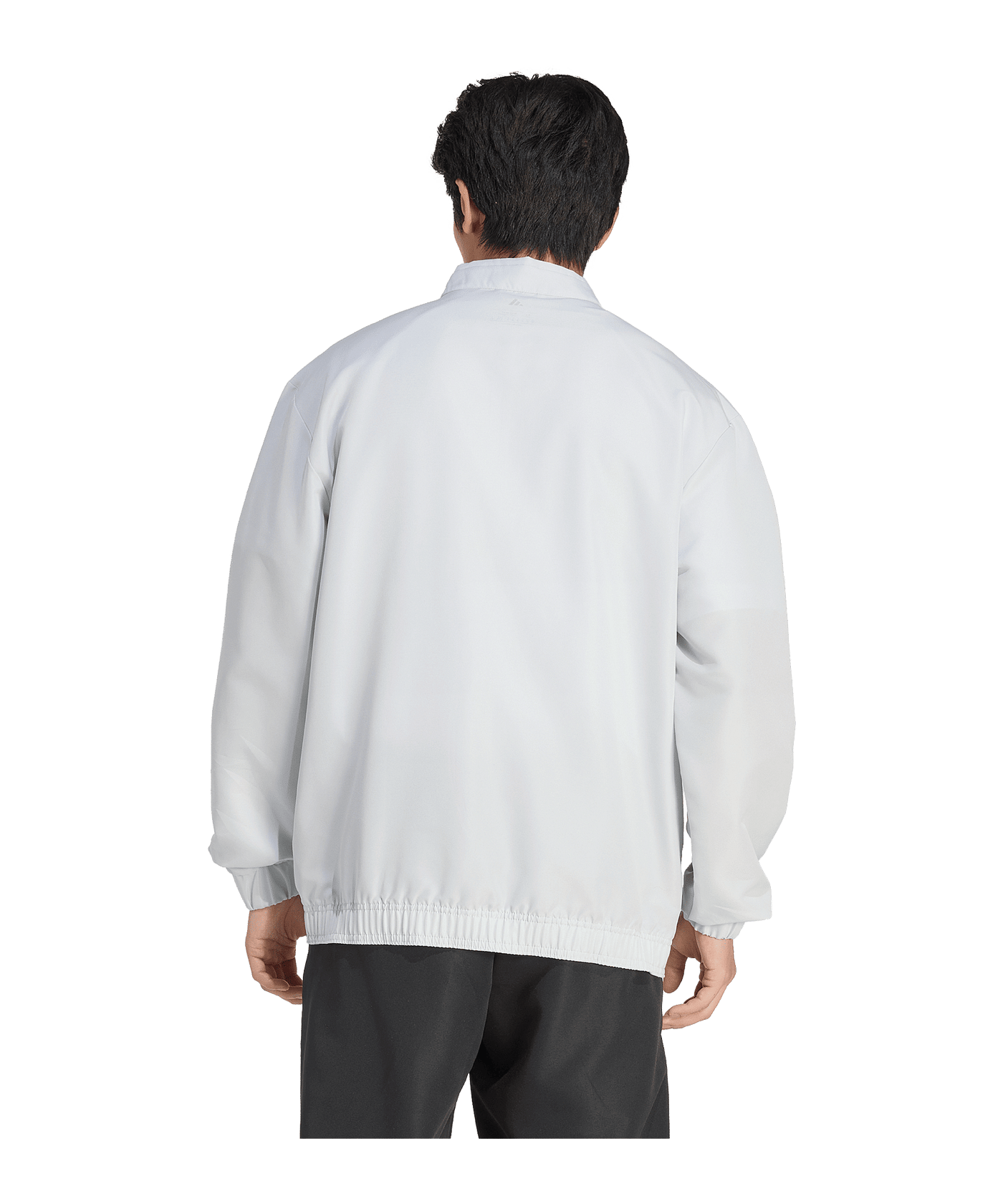adidas Entrada 26 Präsentationsjacke Grau - grau