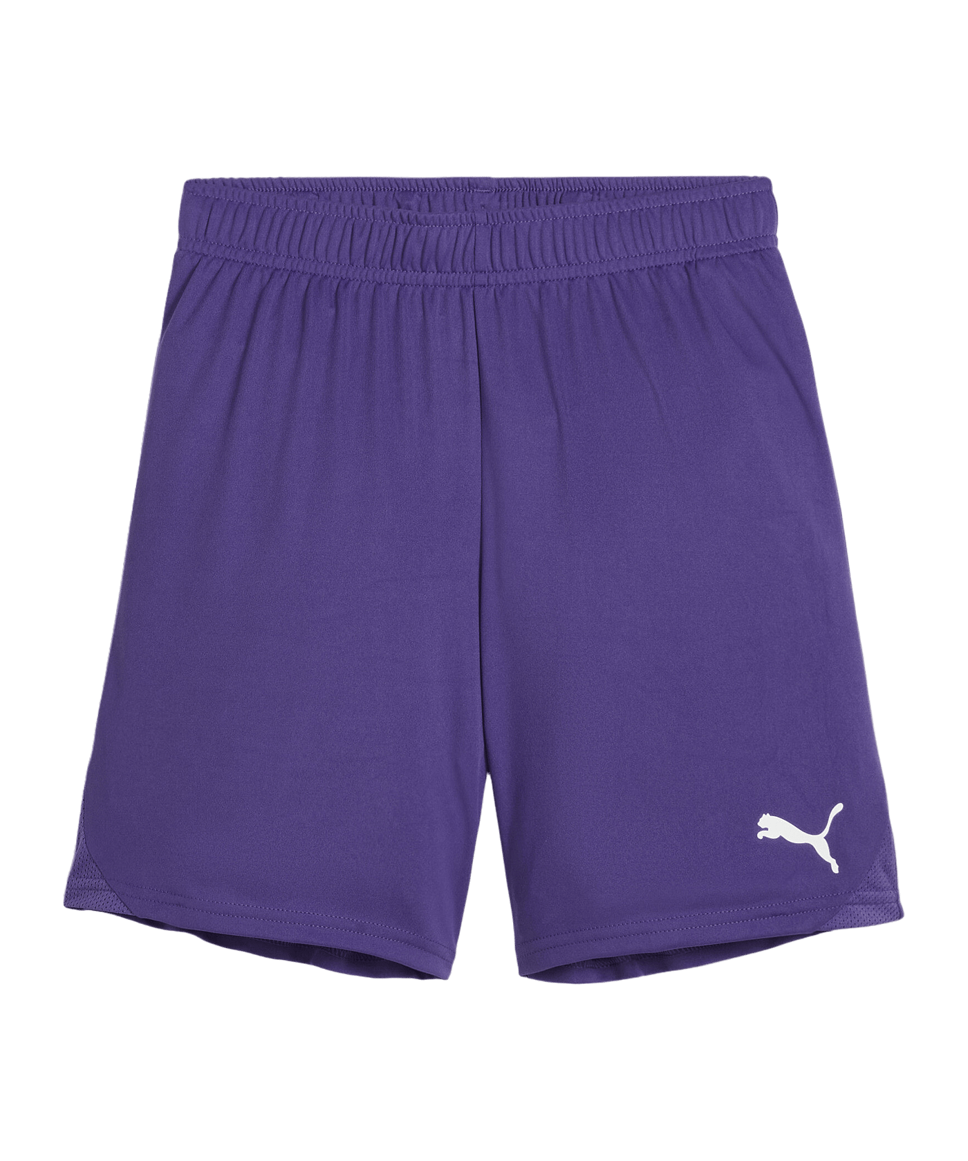 PUMA teamGOAL Short Kids Lila Weiss F10 - lila