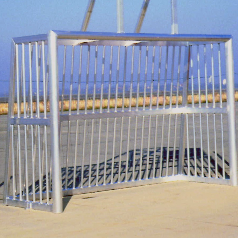 Bolzplatztor 3x2m mit Basketball Aufsatz