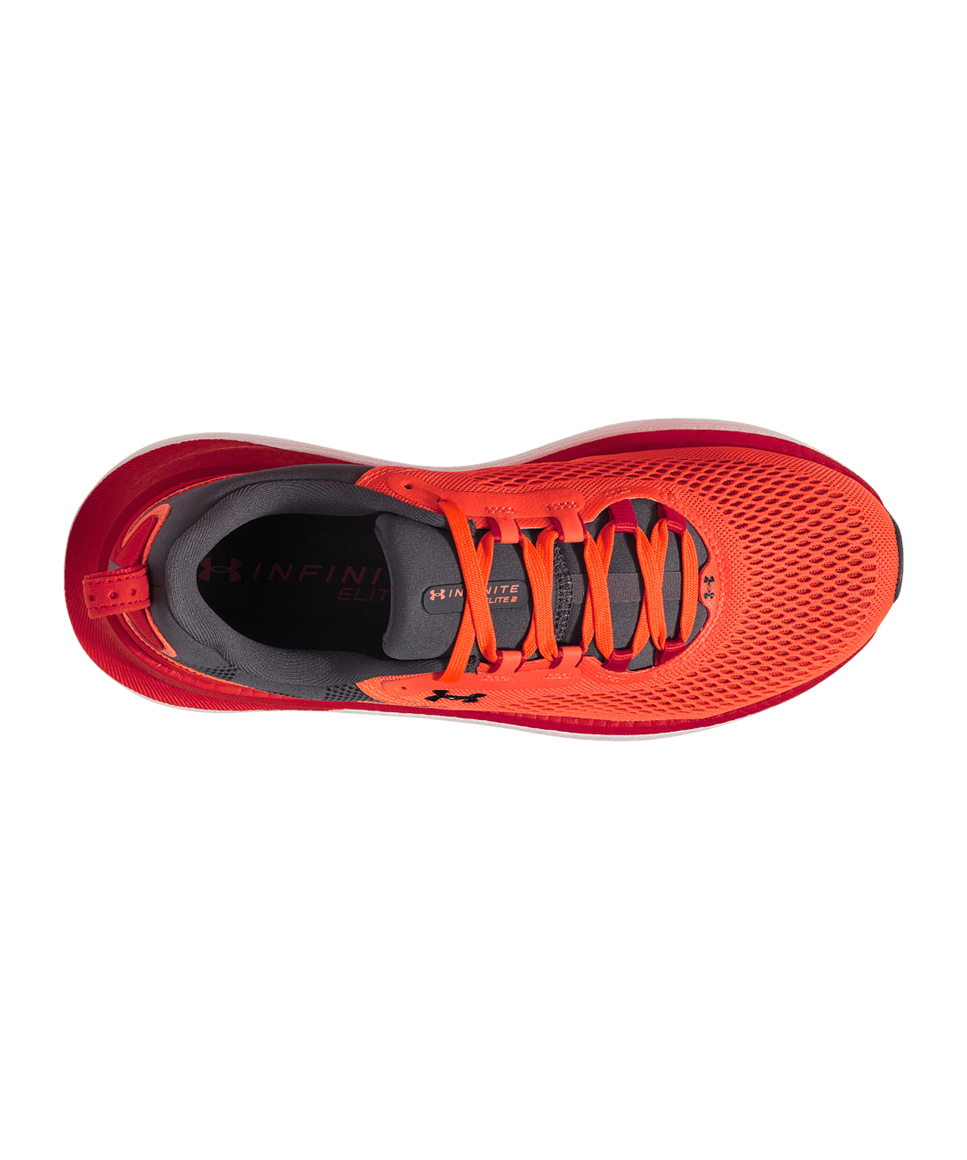 Under Armour Infinite Elite 2 Laufschuh Rot F862 - rot