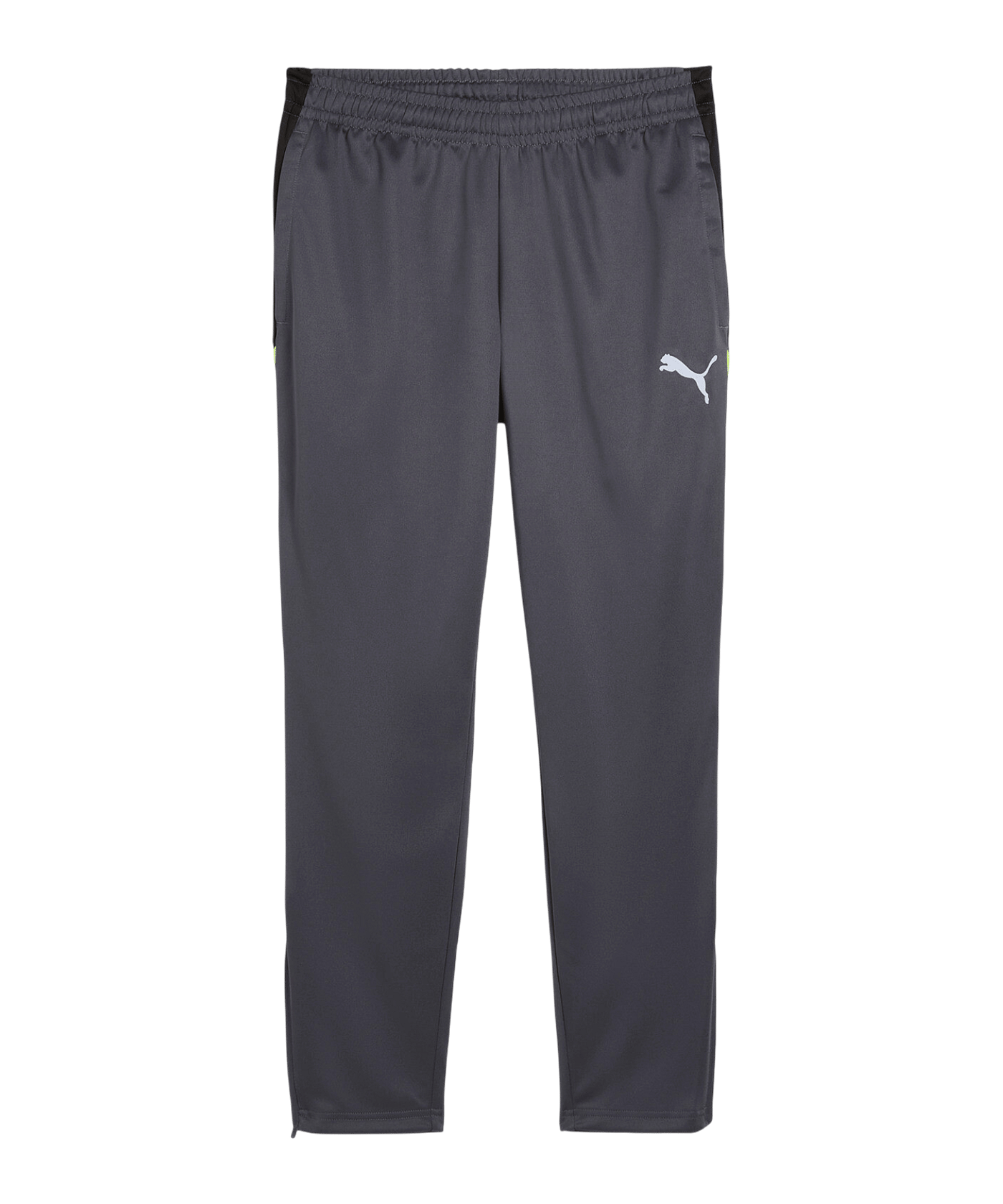 PUMA IndividualLIGA Trainingshose Grau F08 - grau