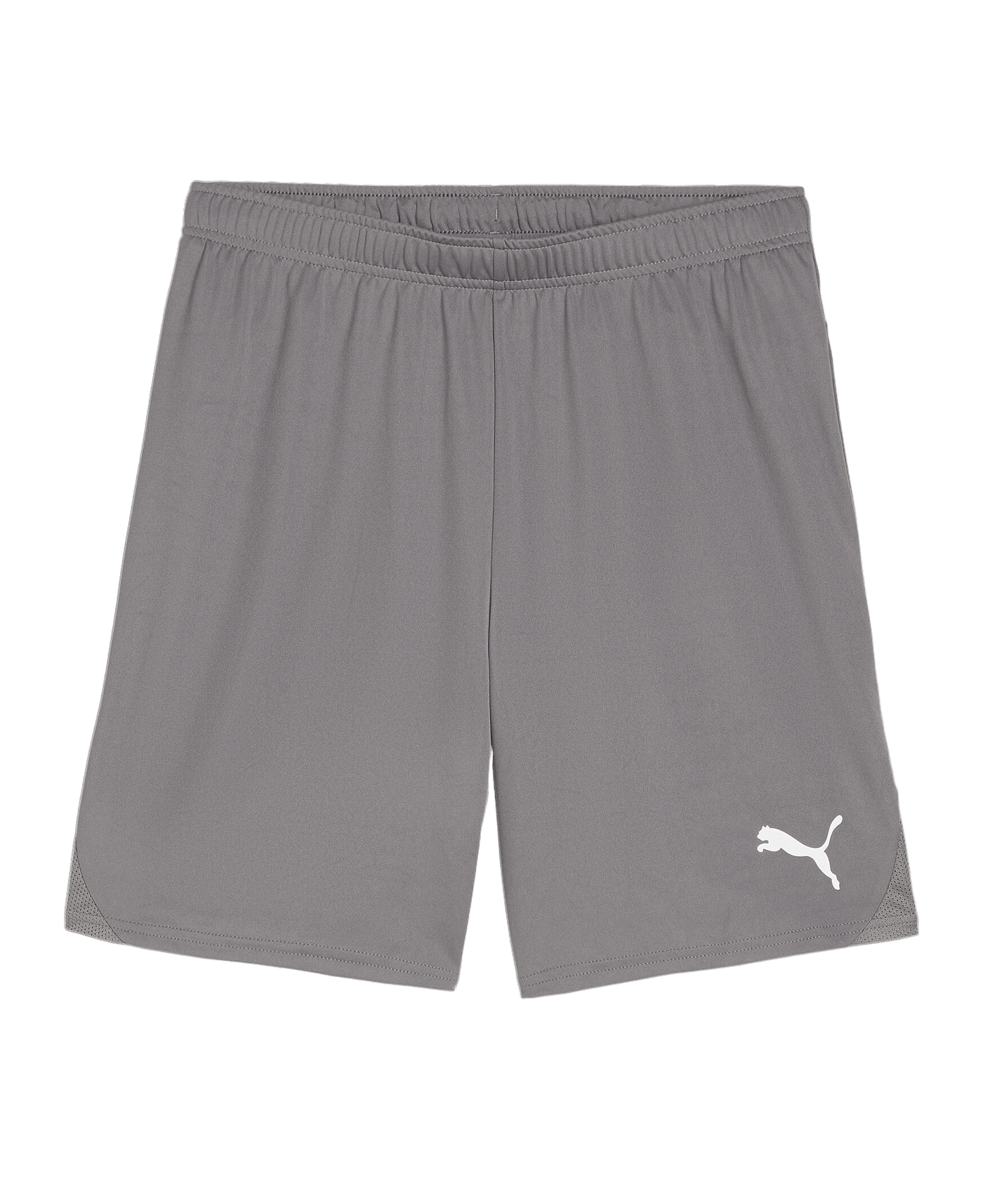 PUMA teamGOAL Short Grau Weiss F13 - grau