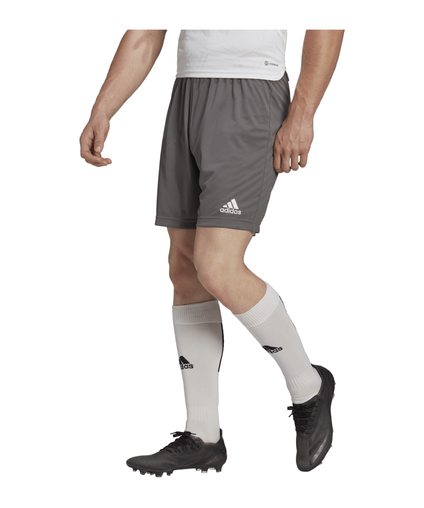 adidas Entrada 22 Short | Grau - grau