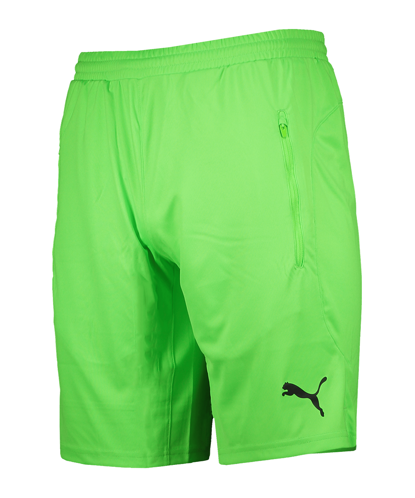 PUMA Schiedsrichter Short Grün F02 - gruen
