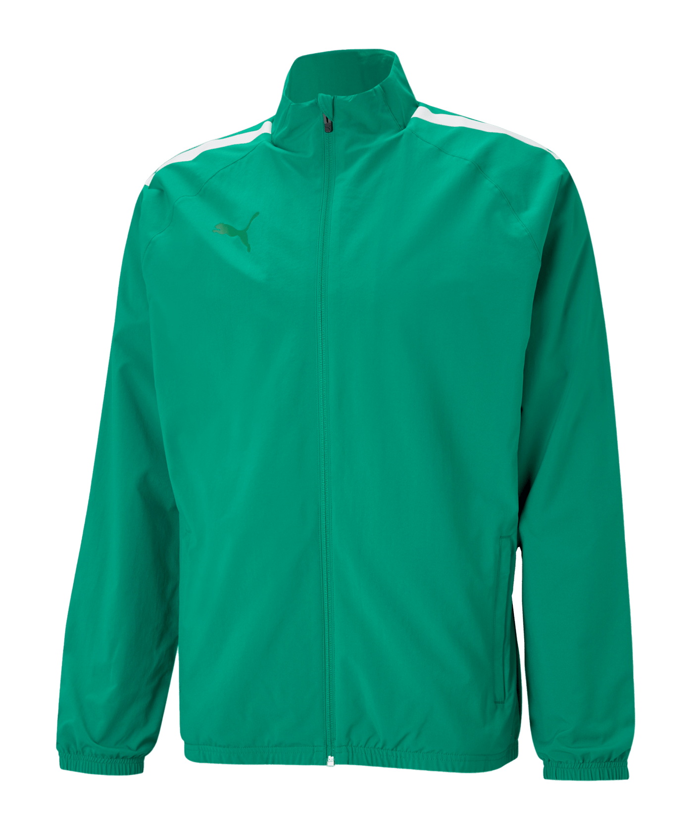 PUMA teamLIGA Sideline Jacke Grün Weiss F05 - gruen