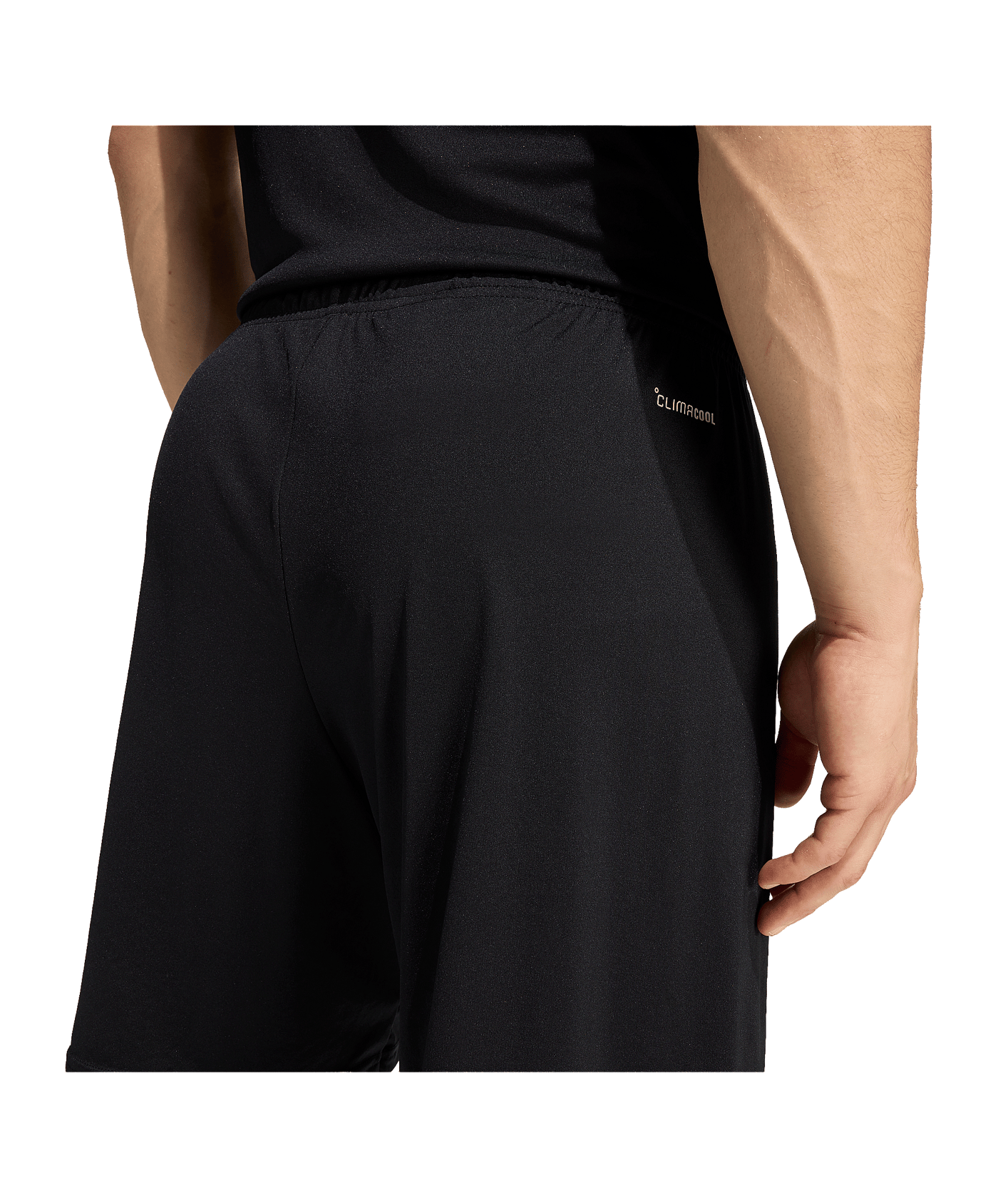 adidas Entrada 26 Short Schwarz - schwarz