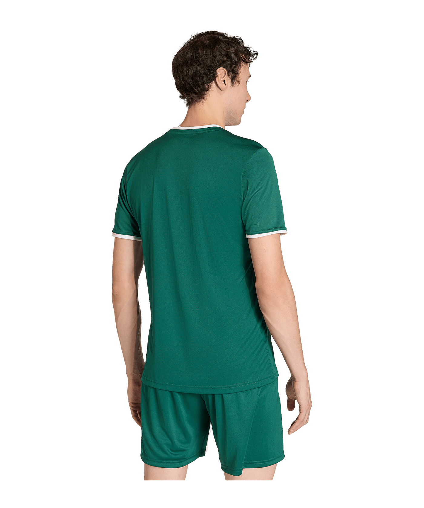 adidas Entrada 26 Trikot Grün - gruen