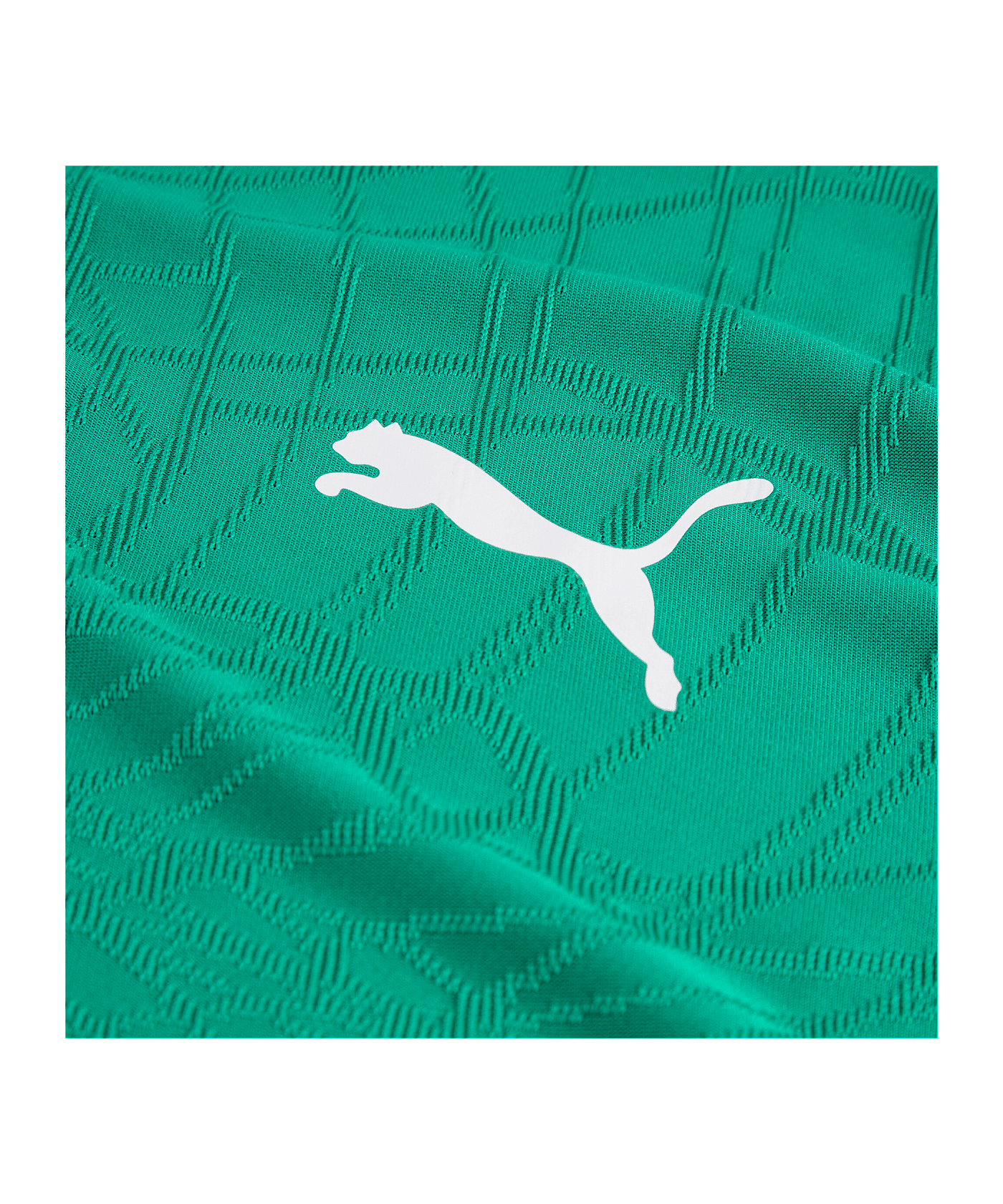 PUMA teamFINAL26 Knit Trikot Grün F05 - gruen
