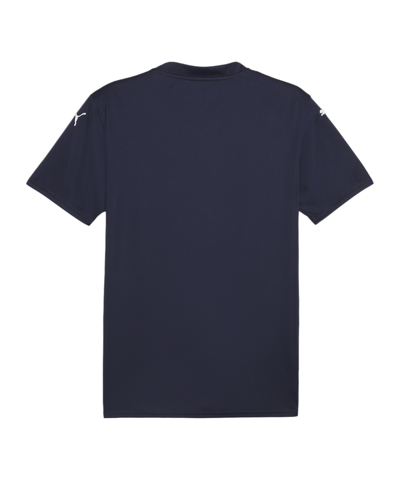PUMA teamGLORY Trikot Blau Weiss Blau F06 - blau