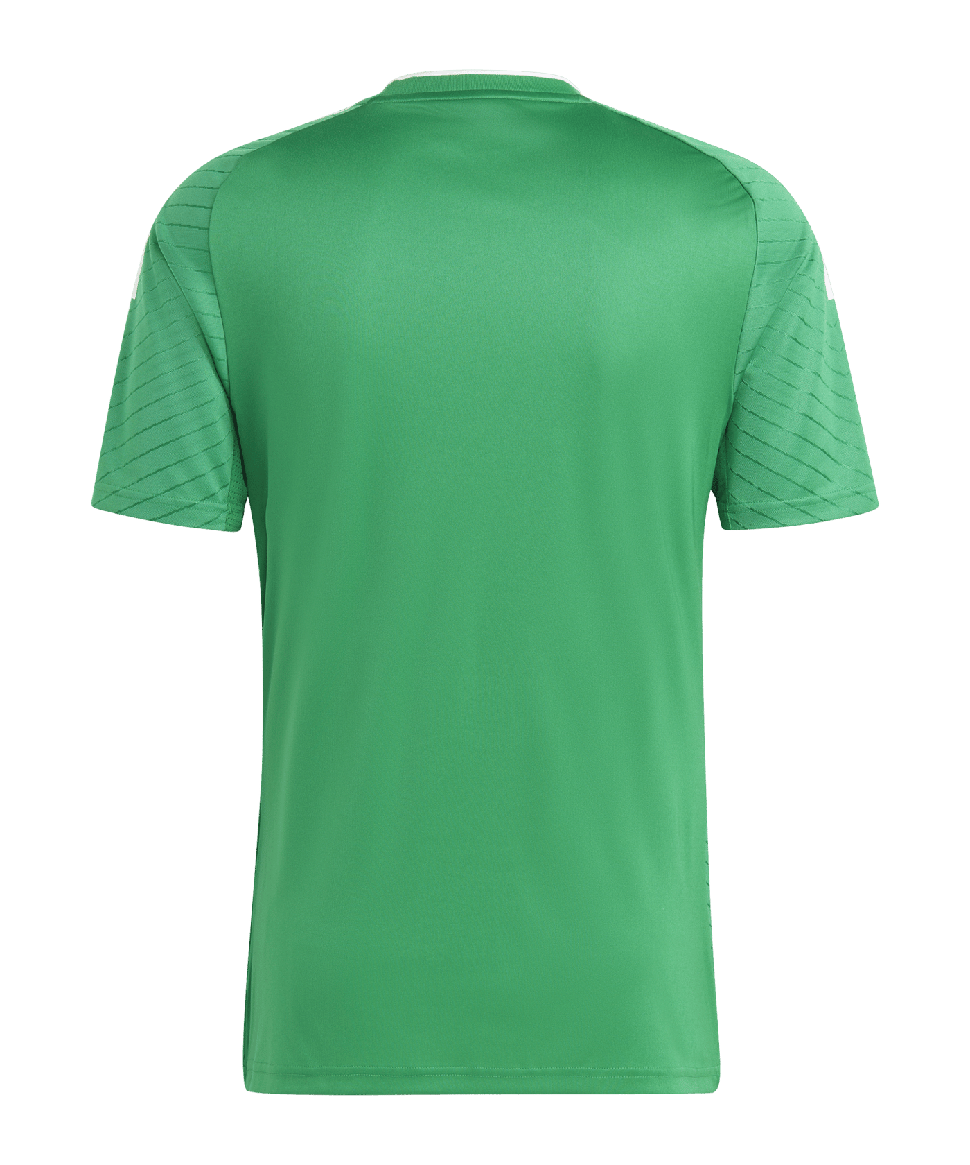 adidas Campeon 23 Trikot Grün - gruen