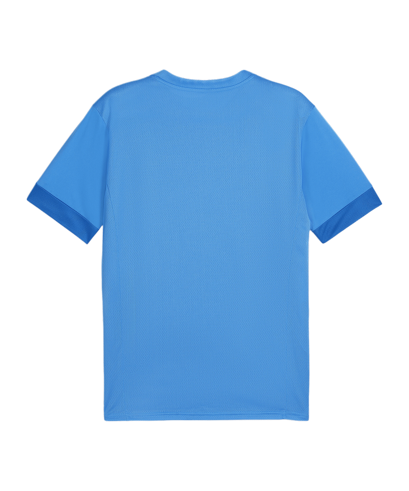 PUMA teamGOAL Matchday Trikot Blau Weiss F02 - blau