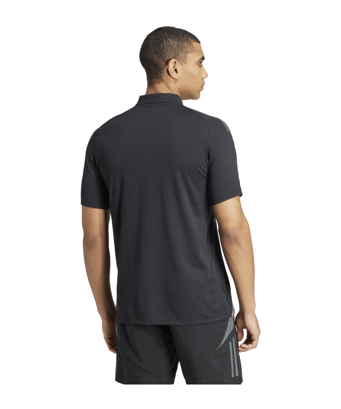adidas Tiro 24 Comp Poloshirt Schwarz Grau - schwarz