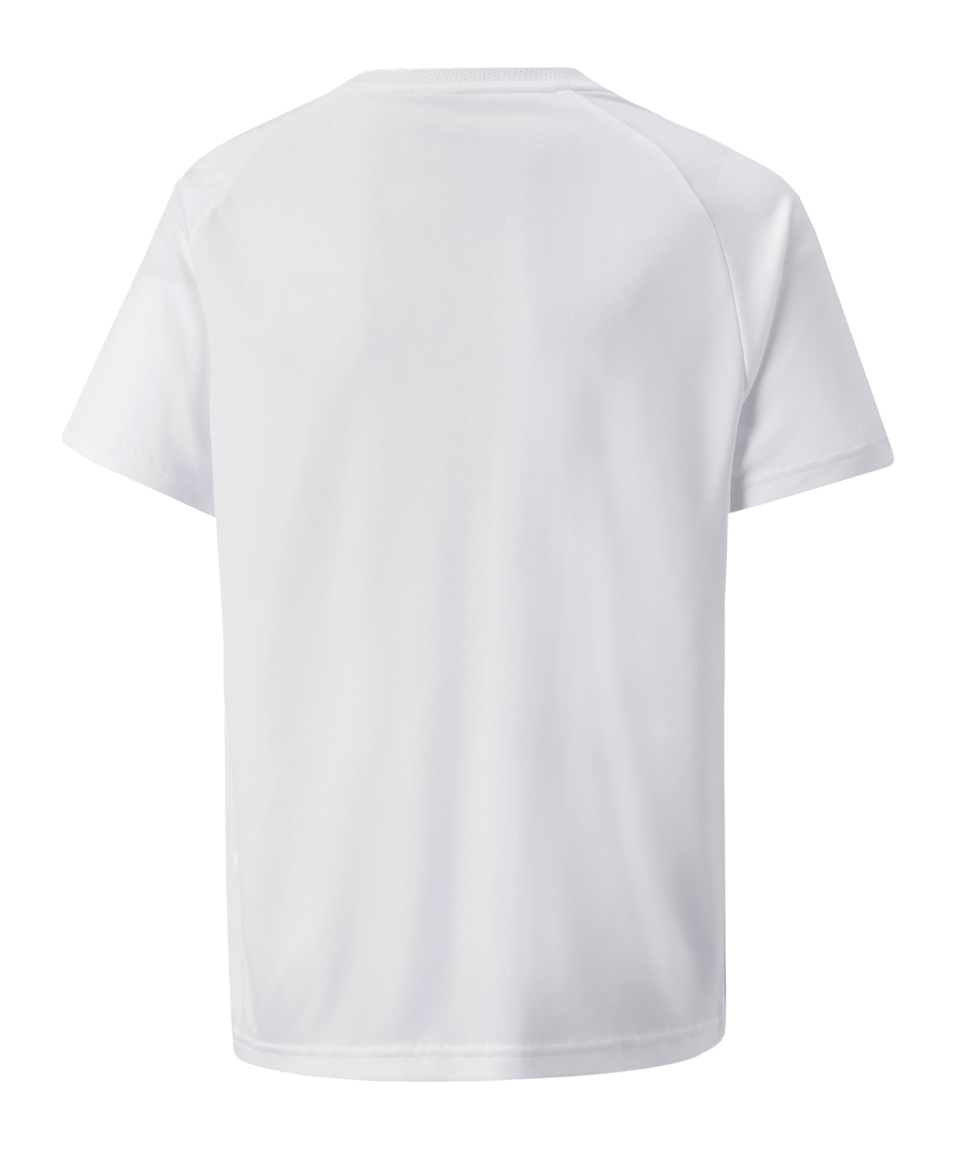 PUMA teamVISION Trikot Kids Weiss Grau F04 - weiss