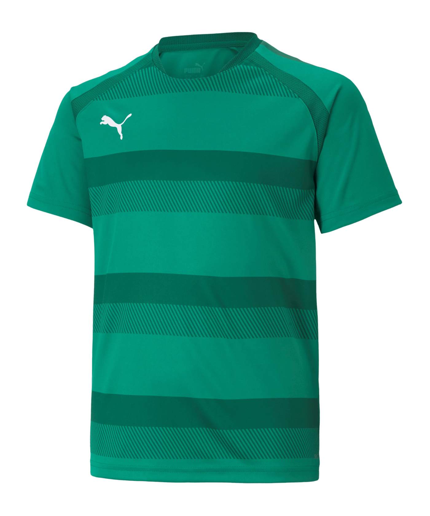 PUMA teamVISION Trikot Kids Grün F05 - gruen