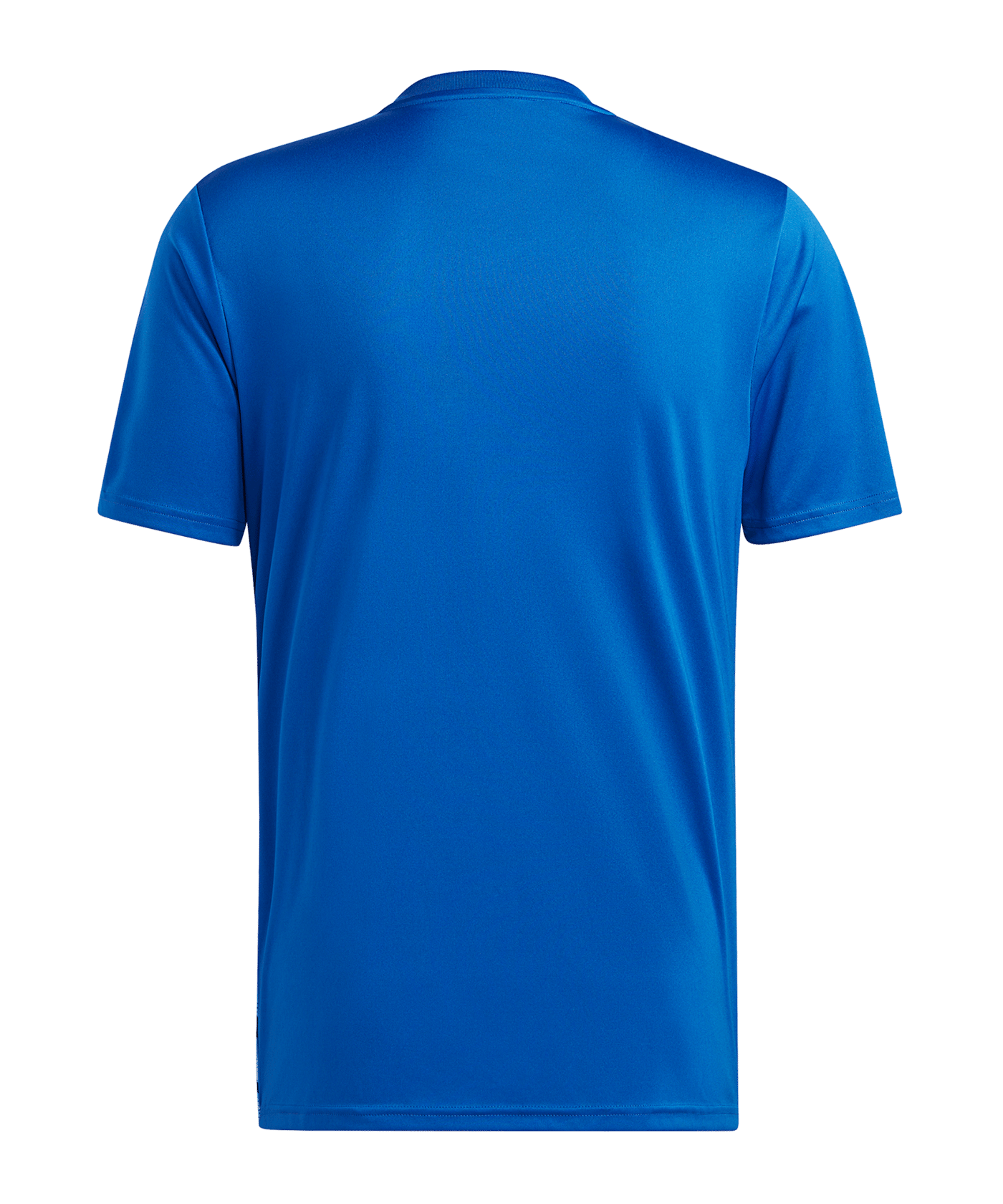 adidas Team Icon 23 Trikot | Blau - blau