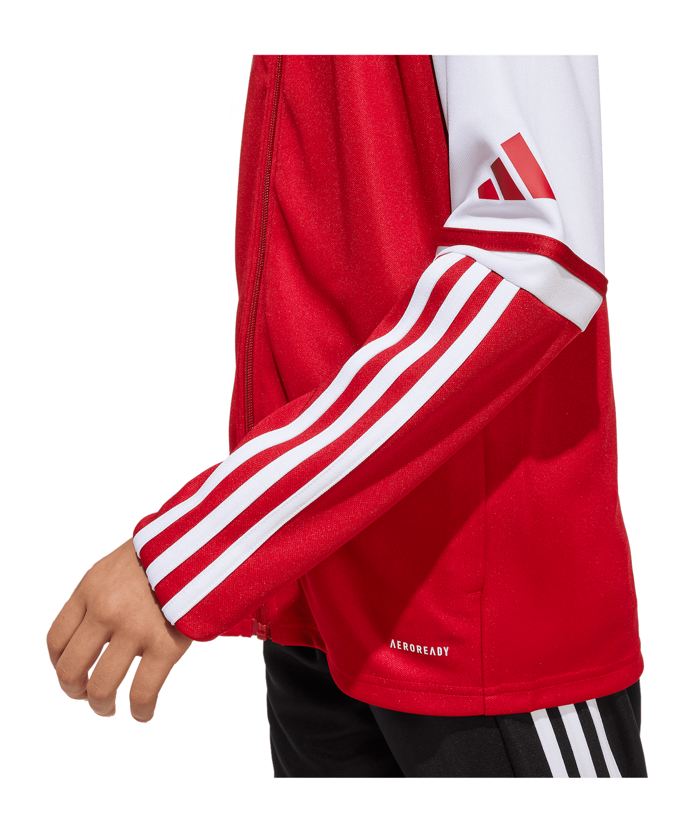 adidas Squadra 25 Trainingsjacke Kids Rot - rot