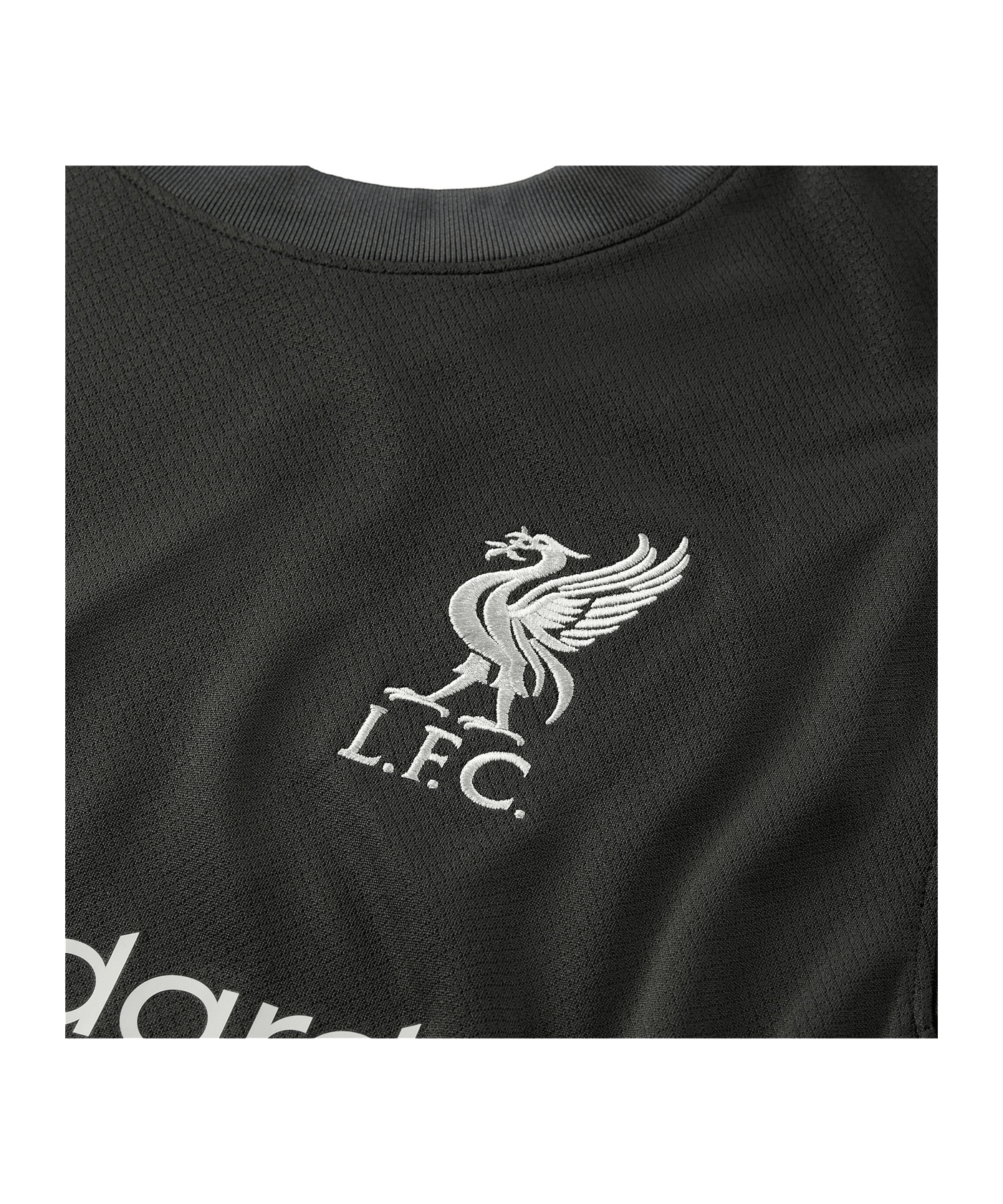 Nike FC Liverpool Trikot Away 2024/2025 Grau F322 - grau