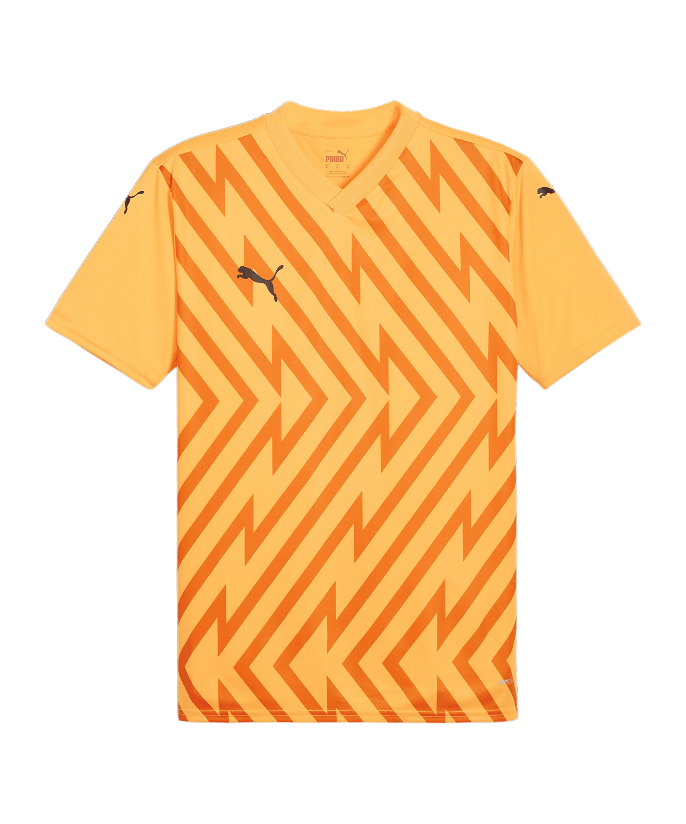 PUMA teamGLORY Trikot Orange Schwarz F61 - orange