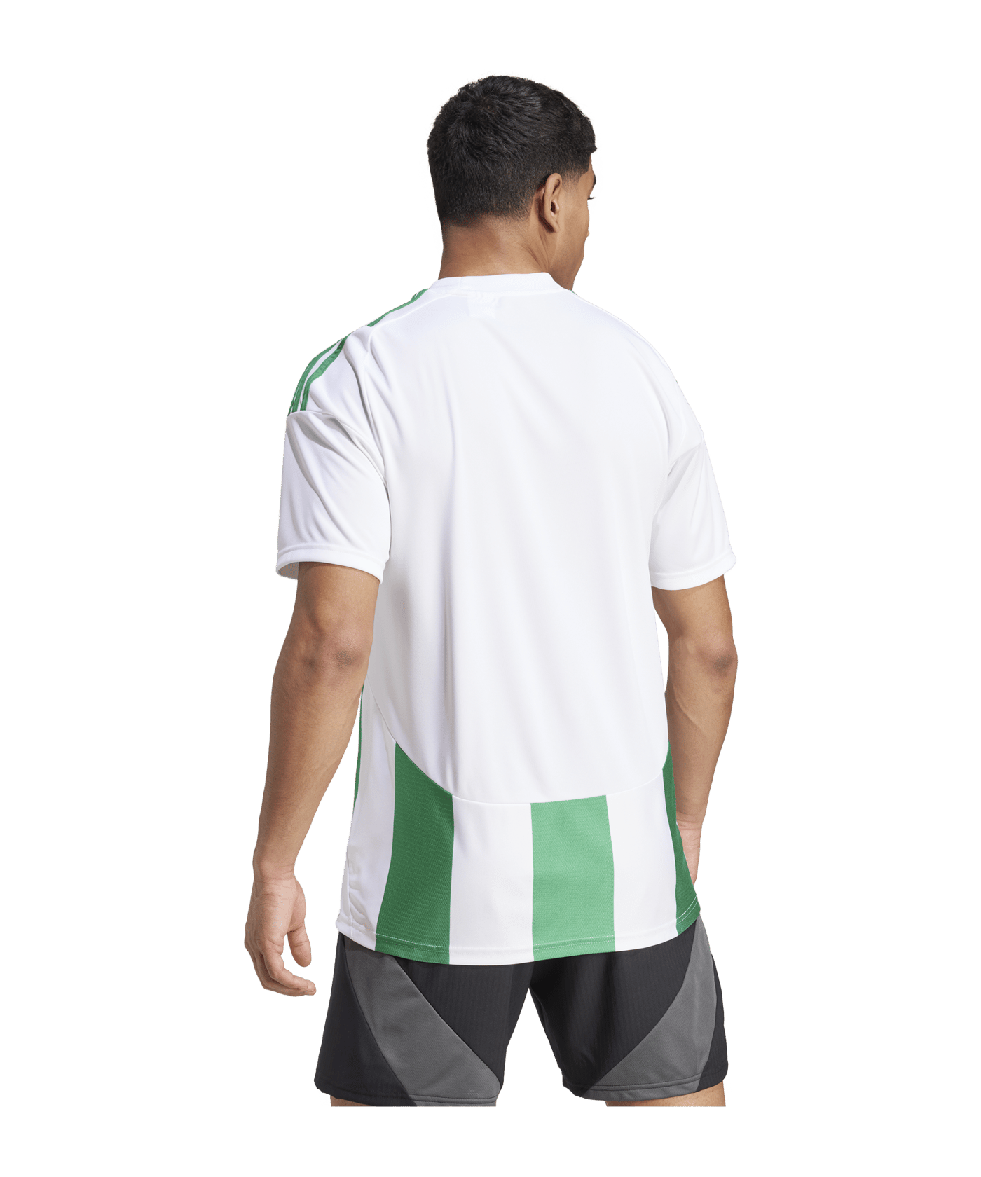 adidas Striped 24 Trikot Weiss Grün - weiss