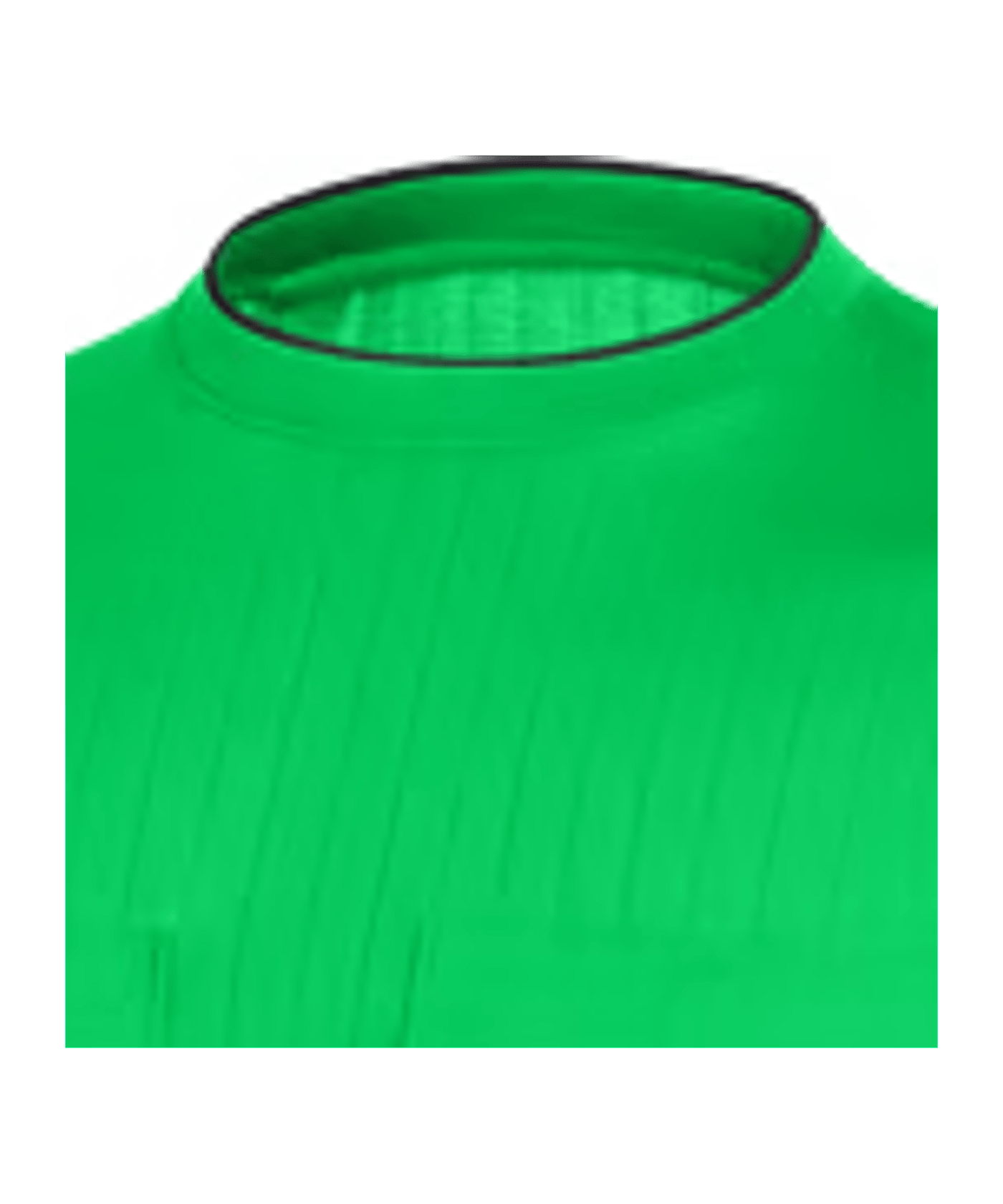 Nike Referee Schiedsrichtertrikot langarm F329 - gruen