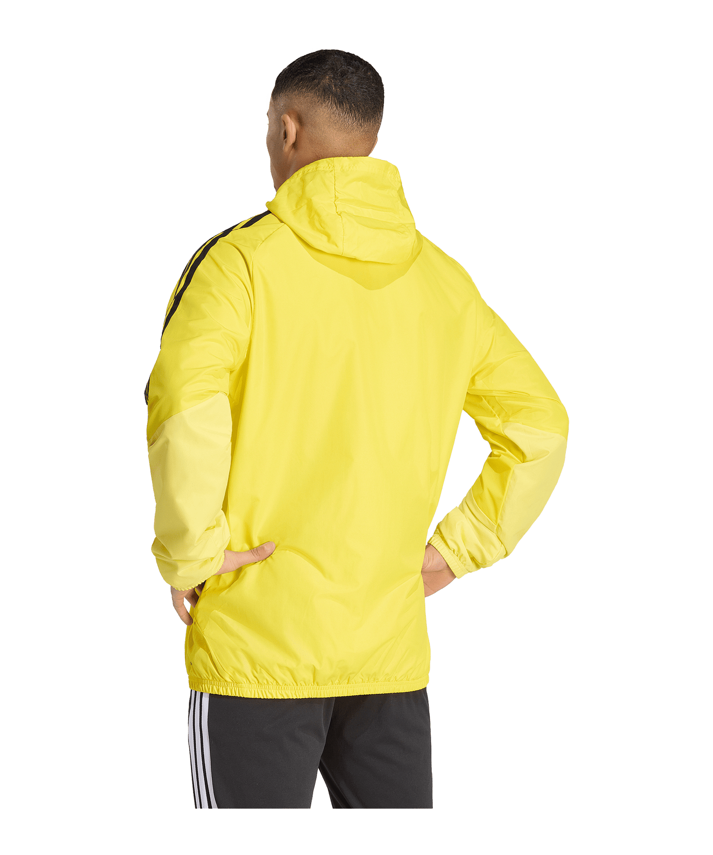 adidas Tiro 26 Competition Jacke Gelb - gelb