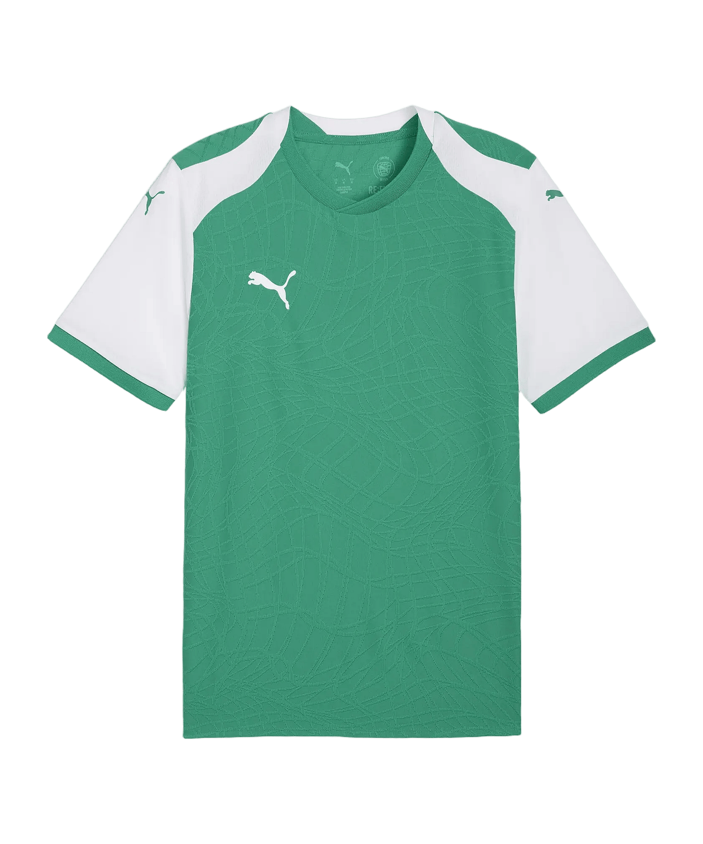 PUMA teamFINAL26 Knit Trikot Grün F05 - gruen