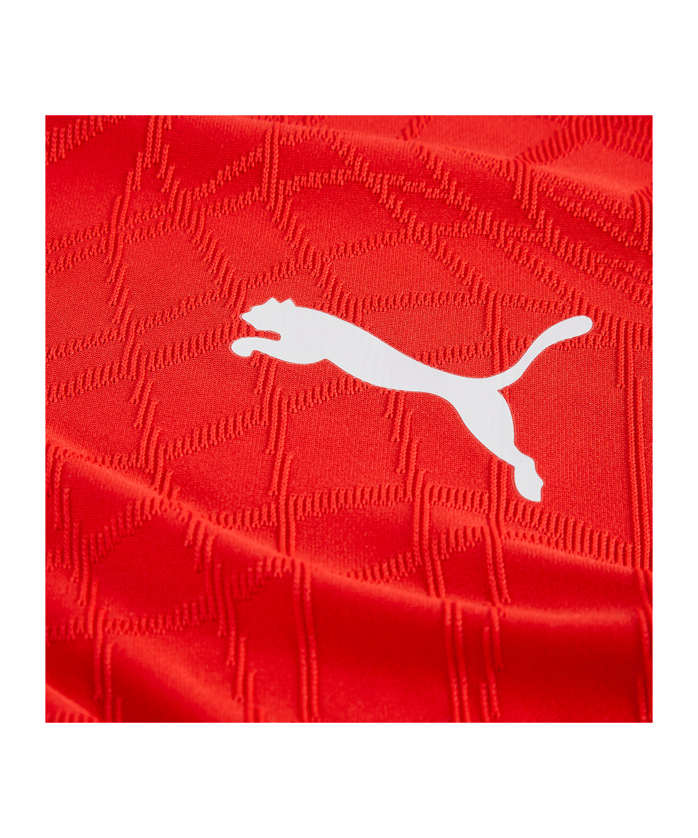 PUMA teamFINAL26 Knit Trikot Rot F01 - rot