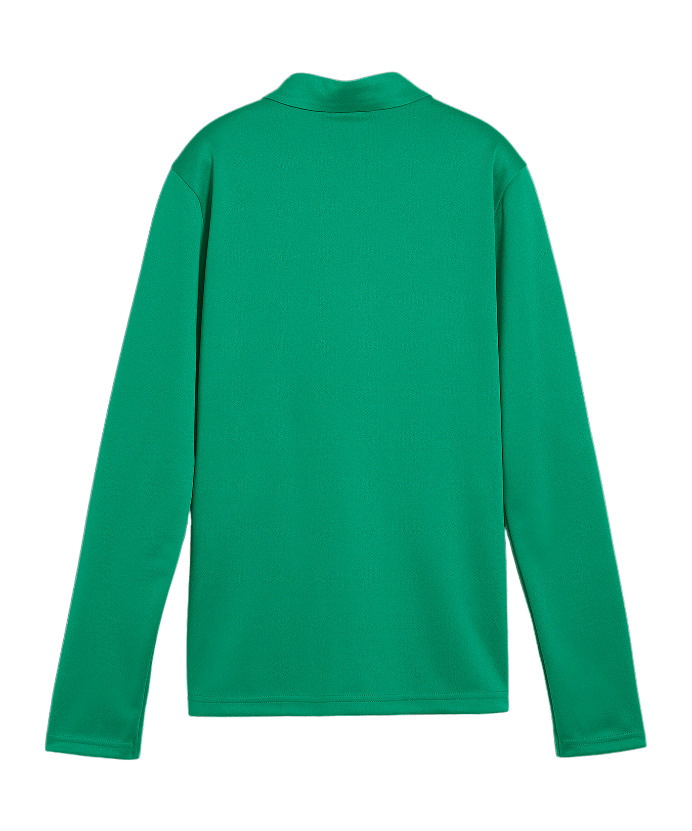 PUMA teamGOAL Trainingsjacke Damen Grün F05 - gruen