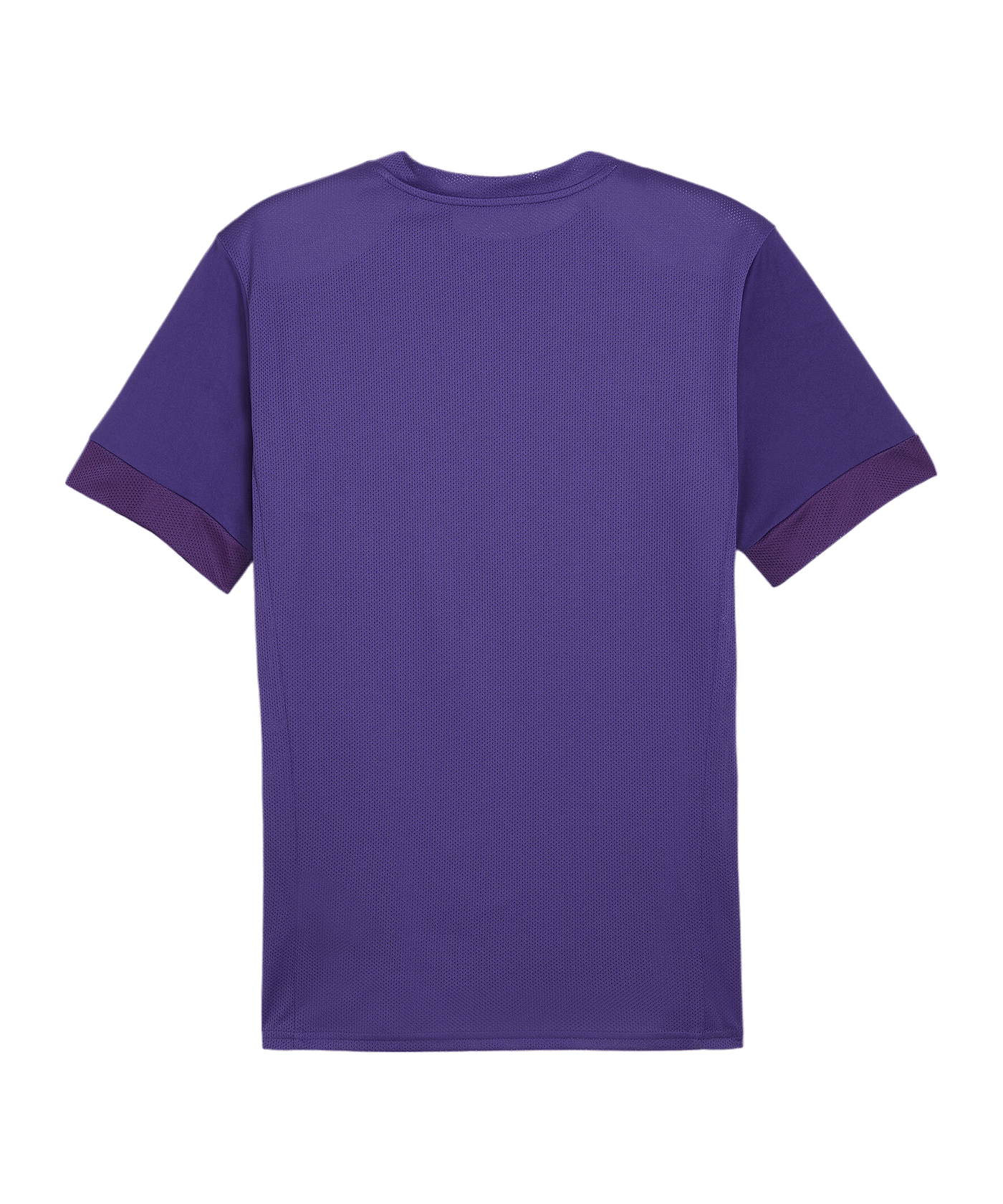 PUMA teamGOAL Matchday Trikot Lila Weiss F10 - lila