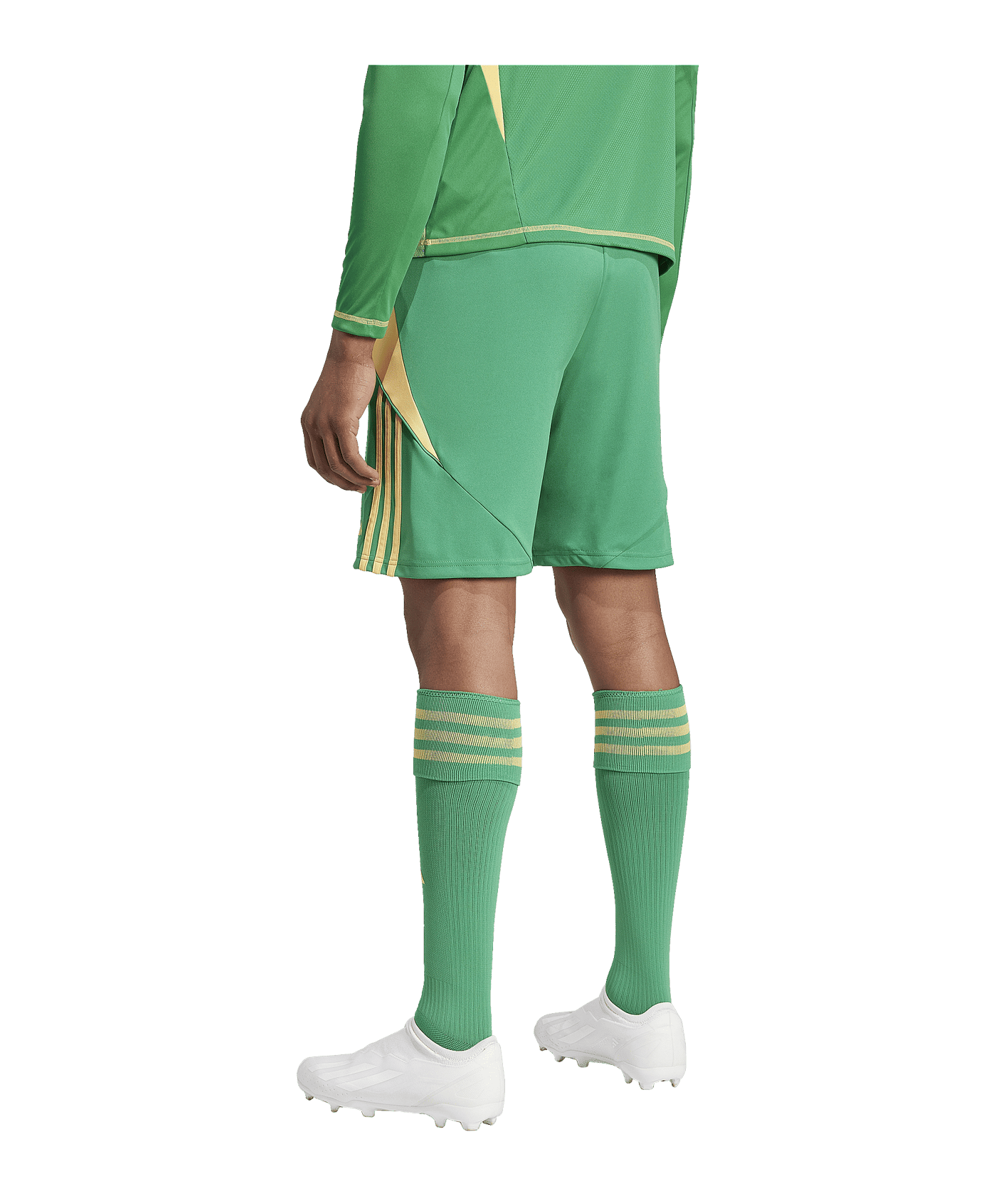 adidas Tiro 24 Short Grün Orange - gruen