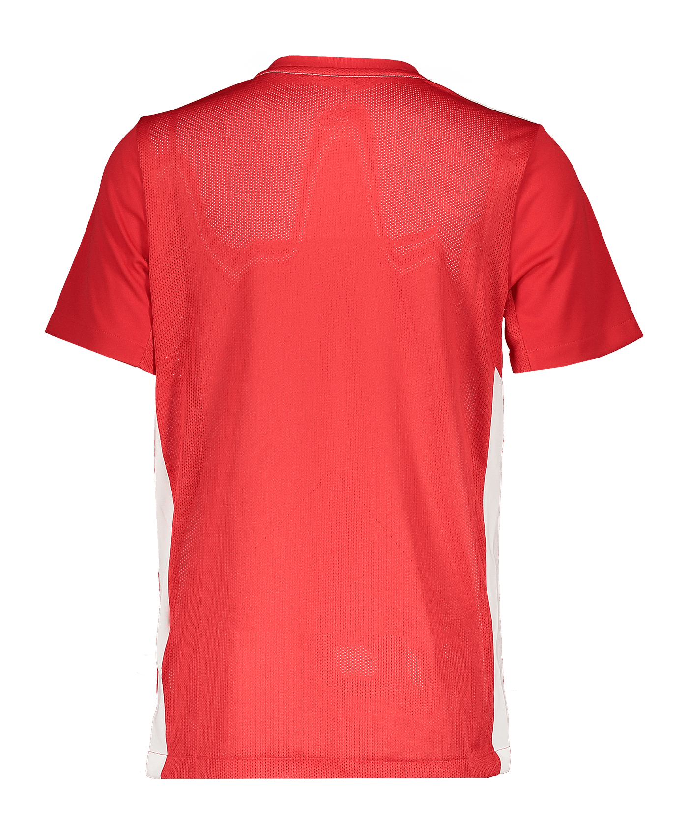 Nike Park Derby IV Trikot Kids Rot F657 - rot