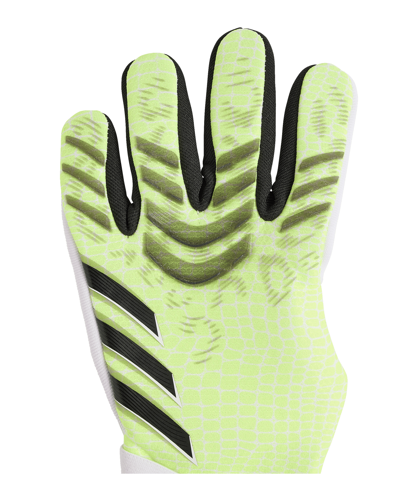 adidas Predator Pro Torwarthandschuhe Radiant - gruen