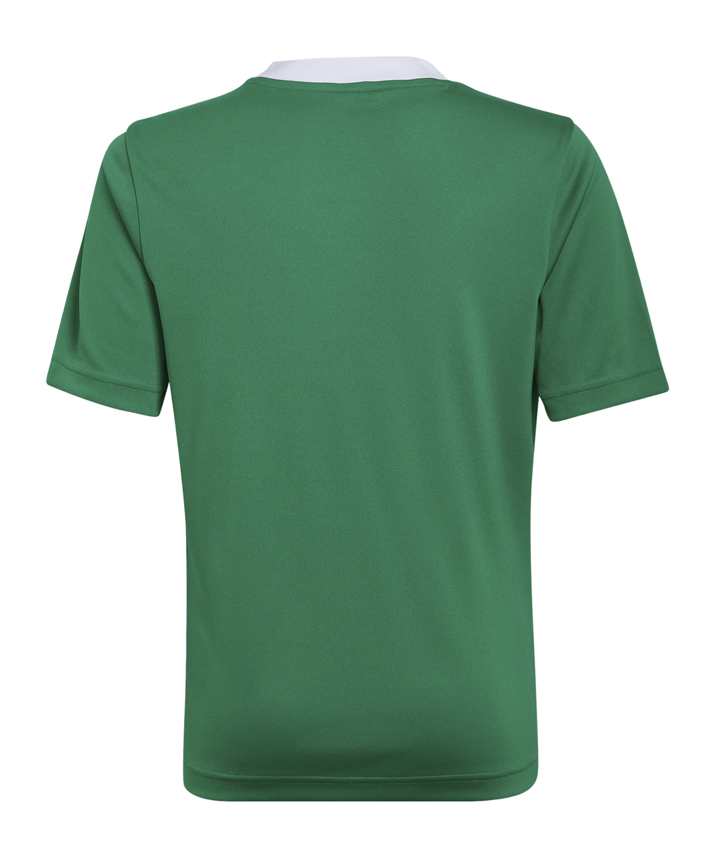 adidas Entrada 22 Trikot Kids Grün - gruen
