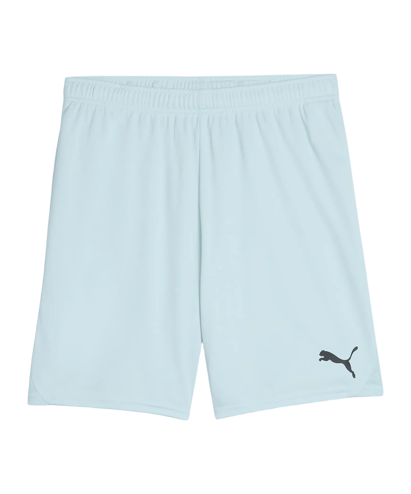 PUMA teamGOAL Short Blau F39 - blau