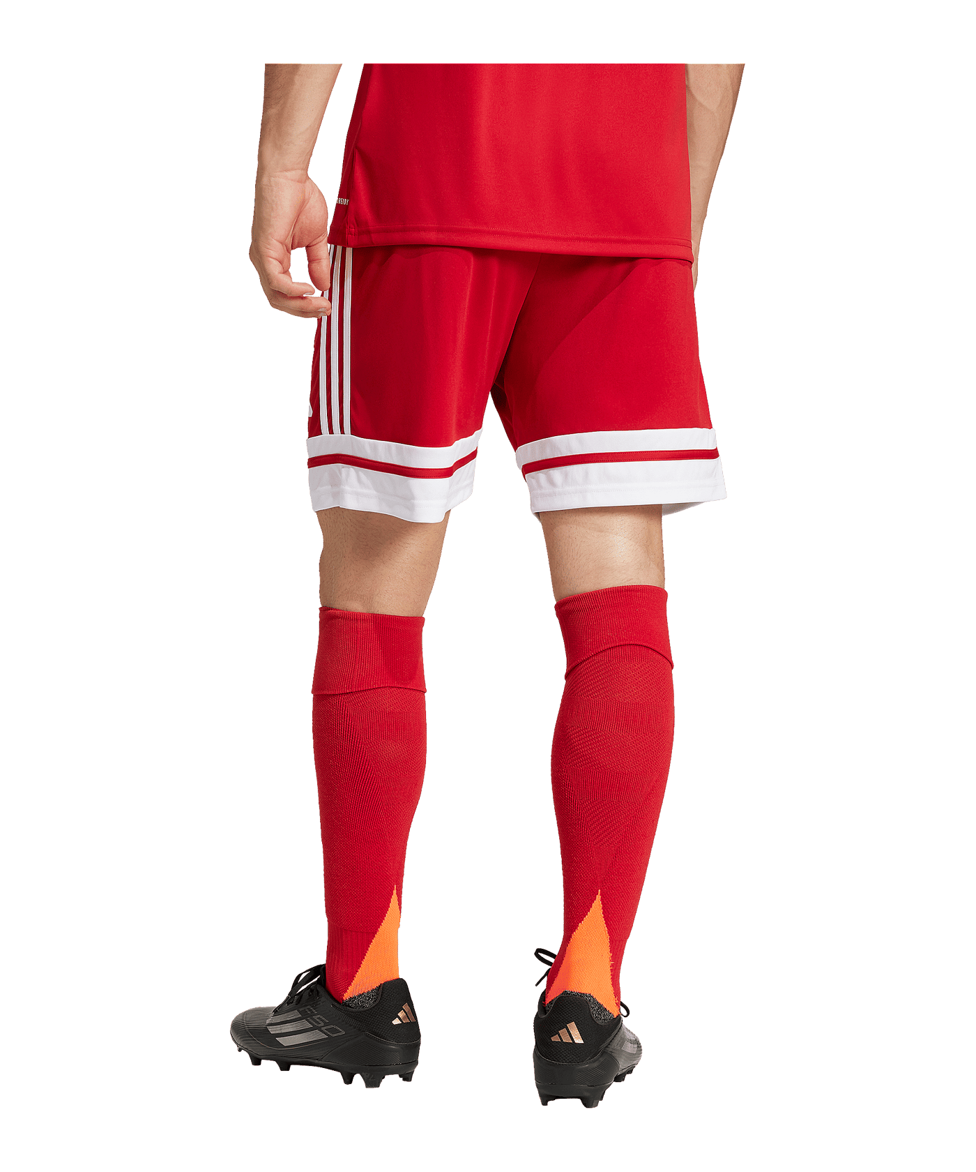 adidas Squadra 25 Short Rot - rot