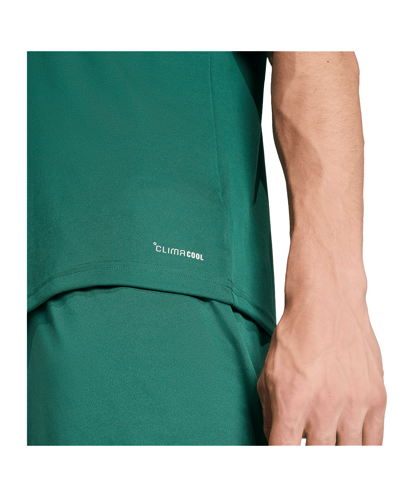 adidas Entrada 26 Trikot Grün - gruen