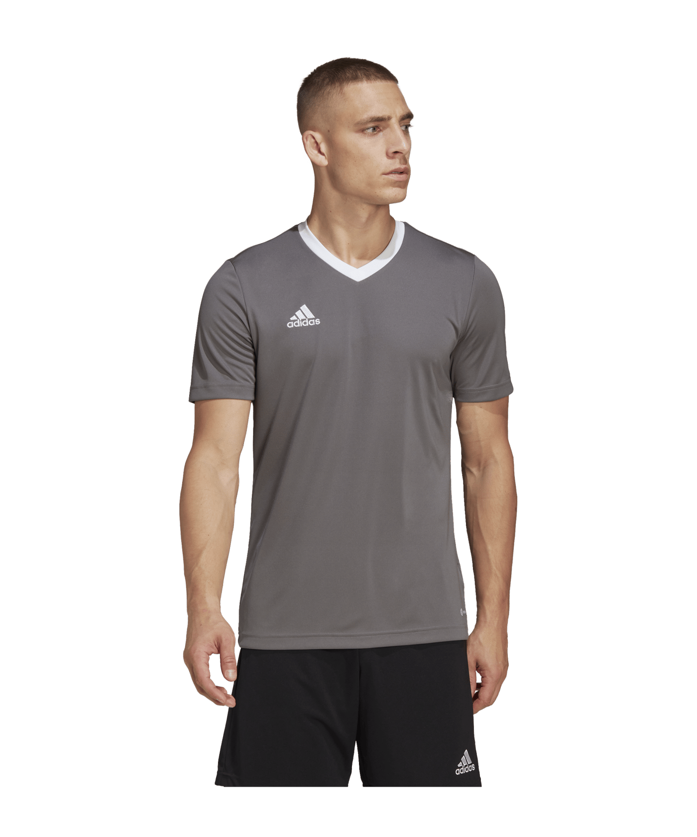 adidas Entrada 22 Trikot Grau Weiss - grau