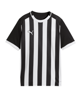 PUMA teamLIGA26 Striped Trikot Kids Schwarz F03 - schwarz