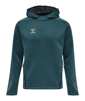 Hummel hmlCIMA XK Hoody Blau F7058 