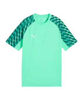 PUMA teamLIGA26 Trikot Kids Grün F80 - gruen