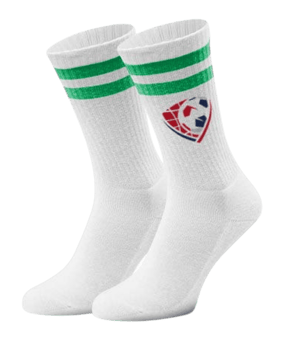 Vereinsexpress Vereinslogo Socken Grün | - gruen