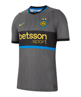 Nike Inter Mailand Authentic Trikot 3rd 2026/2027 Grau F069 - grau