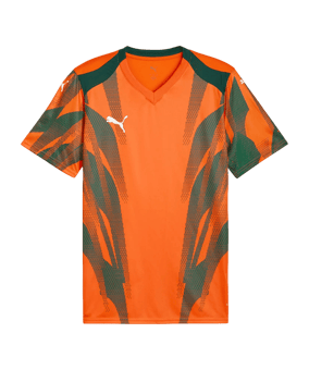 PUMA teamFINAL Graphic Trikot Orange F37 - orange