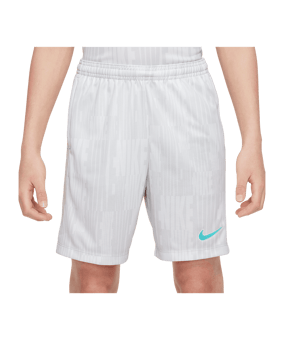 Nike Academy Plus Short Kids Grau F025 - grau