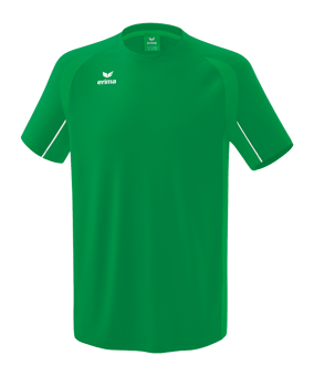 Erima Liga Star Trainingsshirt Grün Weiss - gruen