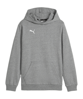 PUMA teamGOAL Casuals Hoody Kids Grau F33 - grau