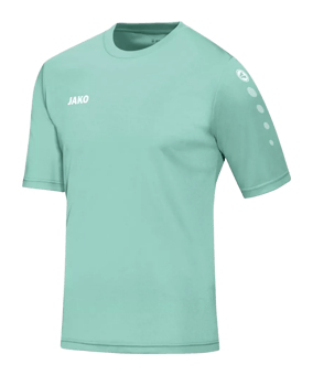 JAKO Team KA Trikot Grün F251 - gruen