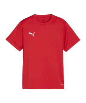 PUMA teamGOAL Trikot Kids Rot F01 - rot