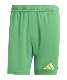 adidas Tiro 24 Pro Torwartshort Grün 